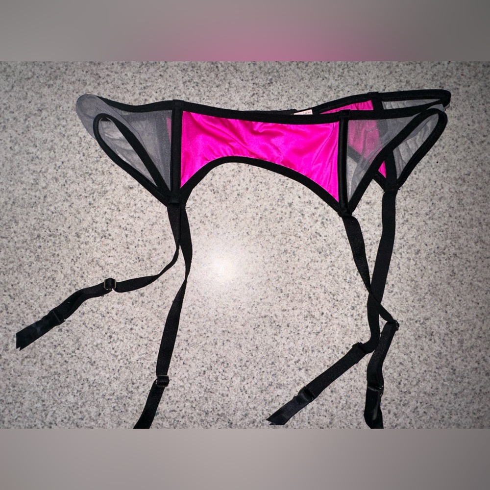 NWT Victoria’s Secret vintage Pink Black Mesh colorblock Garter Belt M/L